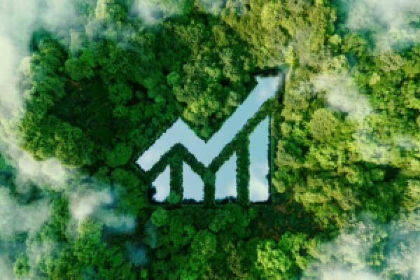 A股大涨，“徐翔”归来？“王亚伟、林园、但斌”直播？真相竟是……